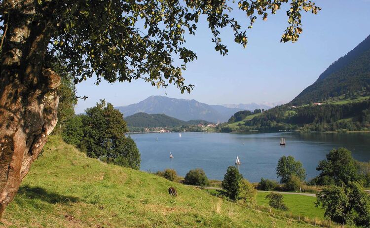 Der Große Alpsee am Weg von Oberstaufen nach Immenstadt - Bild: Immenstadt