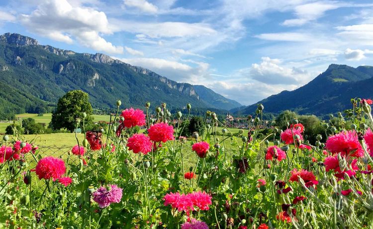 Aschau im Chiemgau © H. Reiter