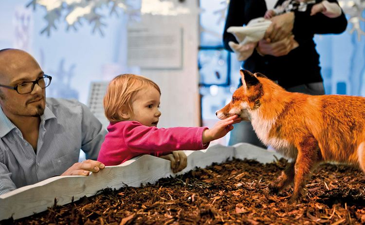 Ausstellung Vertikale Wildnis Im Haus Der Berge In Berchtesgaden