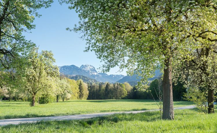 Bad Feilnbach © Kur- und Gästeinformation Bad Feilnbach