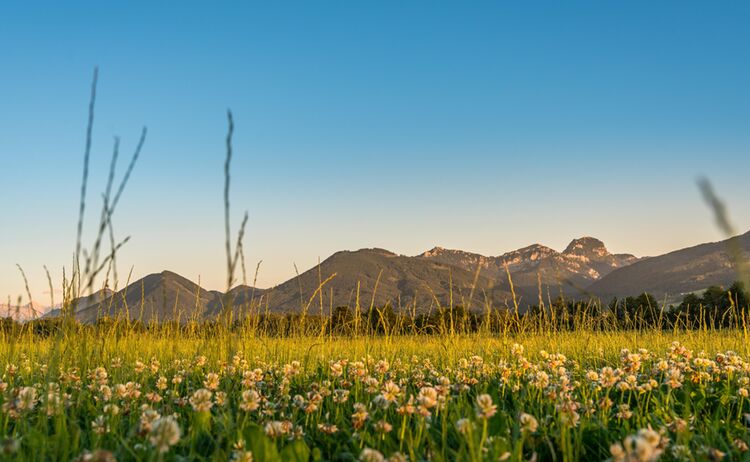 Landschaft C Photo Montana De Web