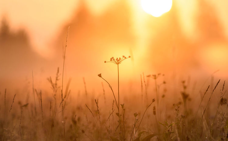 Lichtstimmungen im Murnauer Moos © Das Blaue Land / Wolfgang Ehn