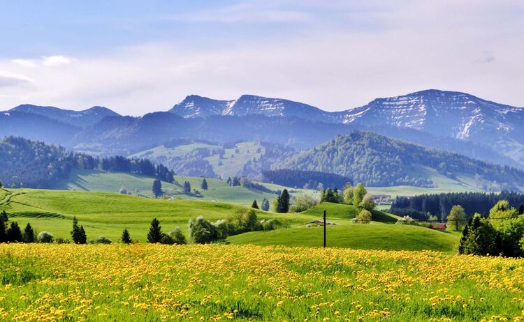 Radfahren entlang der Nagelfluhkette © Westallgäu Tourismus e. V.