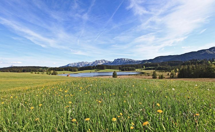 Nesselwang Attlesee Web