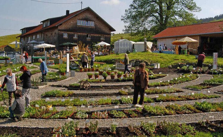 Kräutergarten Artemisia in Stiefenhofen © Westallgäu Tourismus e. V.